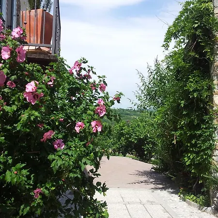 Guest house Boutique Dvor Dobrovo