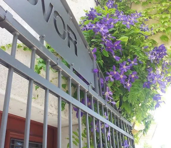 Boutique Dvor Πανσιόν 4*